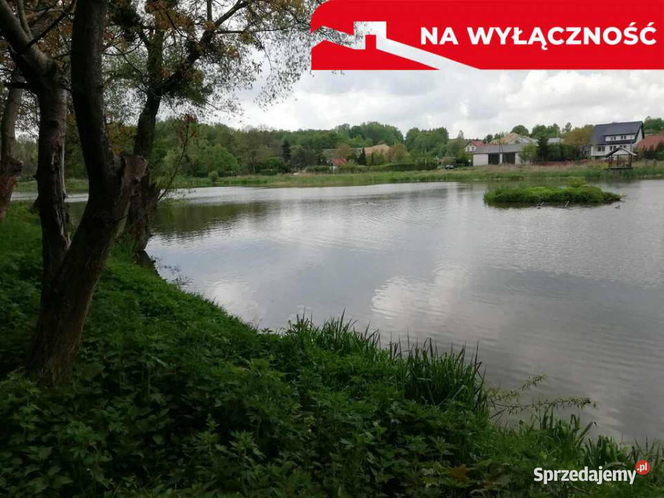 Działka o pow 46 ha w Klementowicach gm Kurów Grunty i działki lubelskie sprzedam