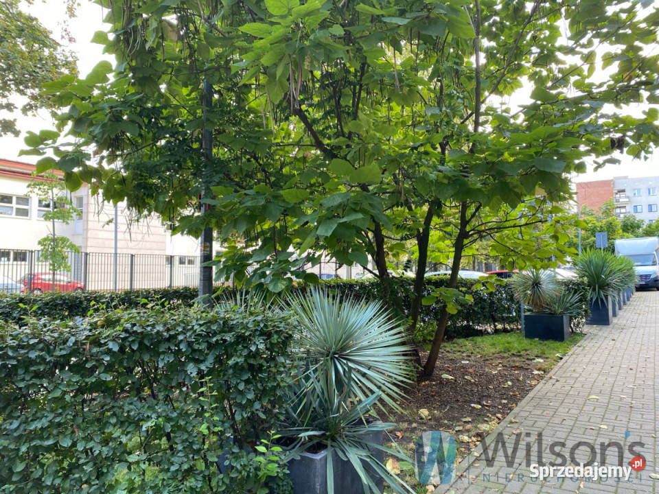 Mieszkanie 42 metry Warszawa Aleja Wojska