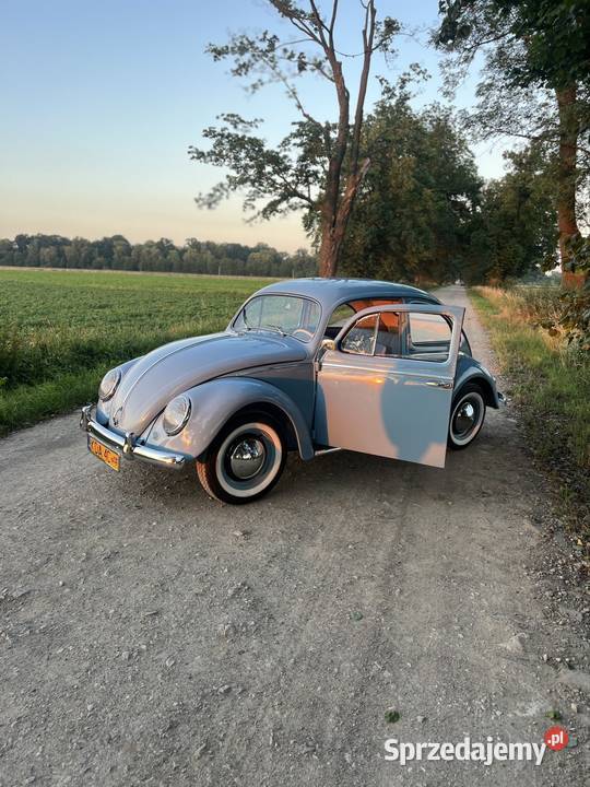 Volkswagen Garbus Oval 1954 nieuszkodzony sprzedam