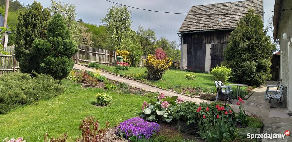 Sprzedam dom w WoliborzuKotlina Kłodzka drewniane Domy Wolibórz