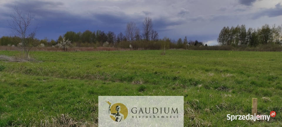 działki w Drewnicy Drewnica