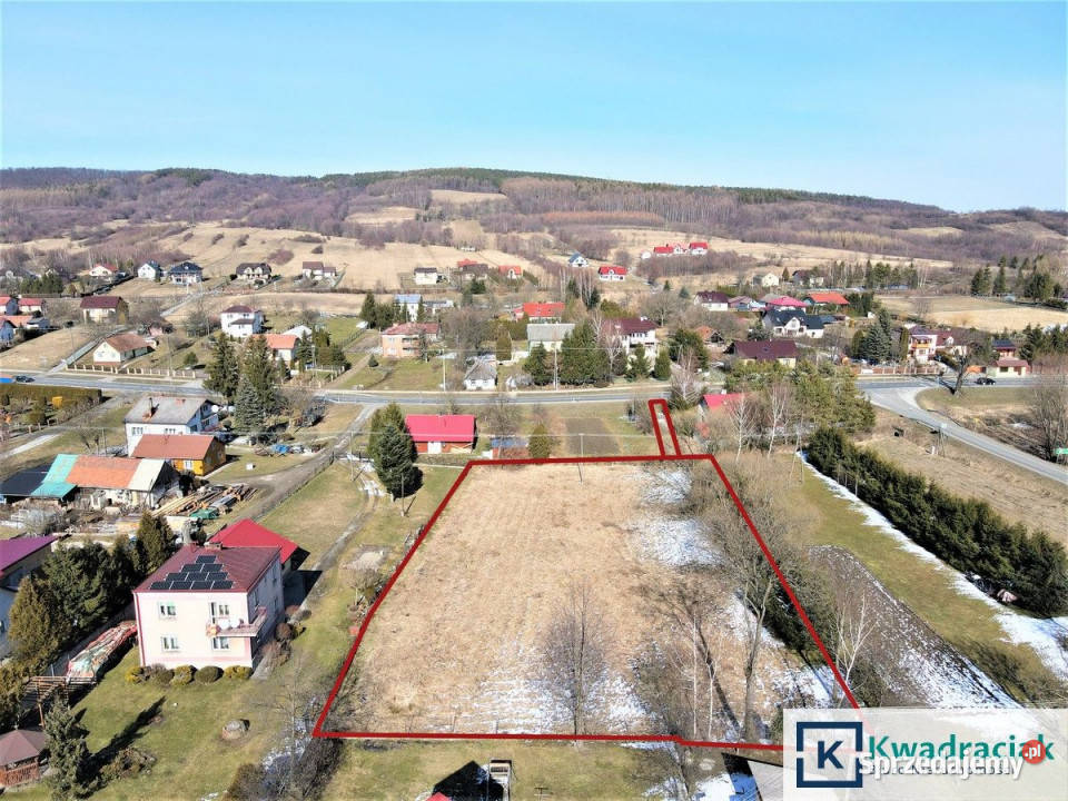 Działka 3000m2 Pisarowce Nieruchomości