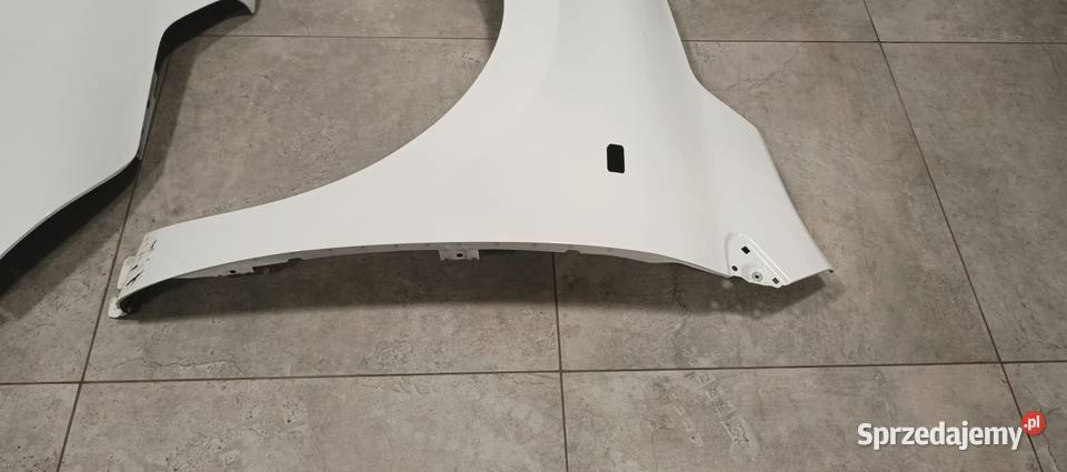 Błotnik Renault express lewa kujawsko-pomorskie Brześć Kujawski