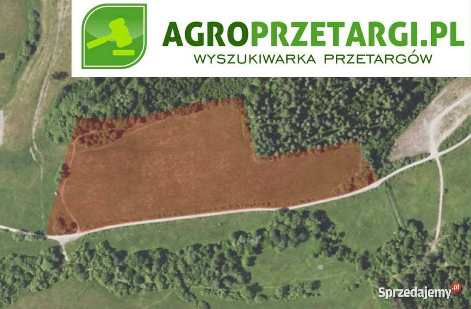 Dzierżawa 1840 ha gruntu rolnego Lesko