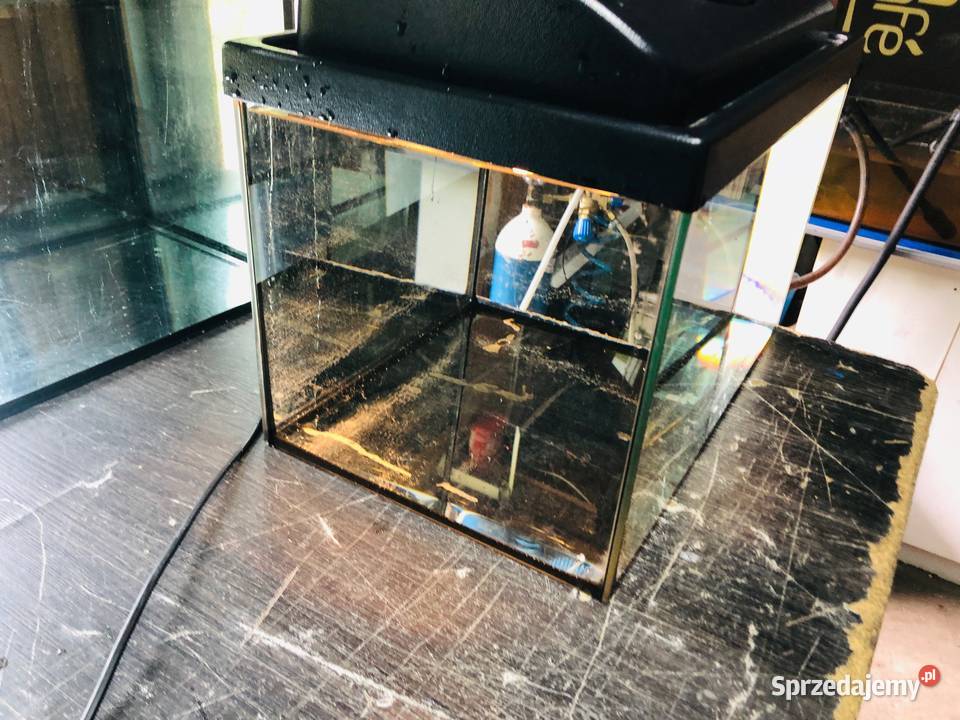 Akwarium 25 L z pokrywą i oświetleniem 40 x 25 Justynów