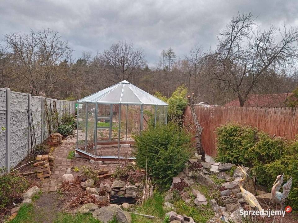 Szklarnia Siedmiokątna Natalia Łobez sprzedam