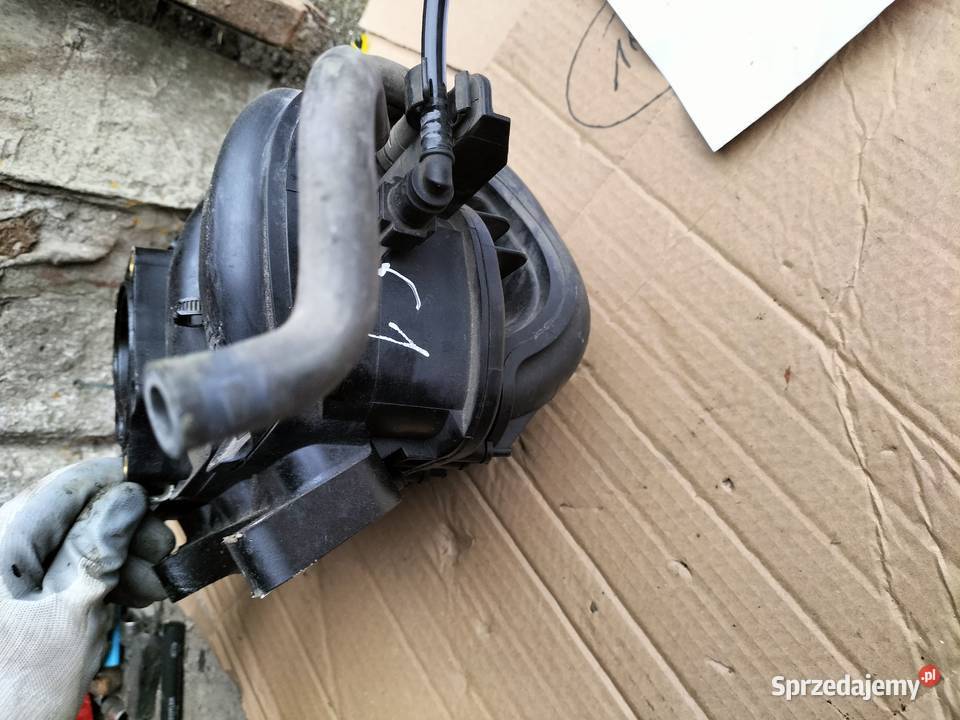 TOYOTA AYGO I Citroen C1 Peugeot 107 10 KOLEKTOR Kamień-Kolonia sprzedam