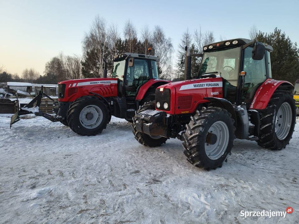 Massey Ferguson 6465 Grabów Szlachecki