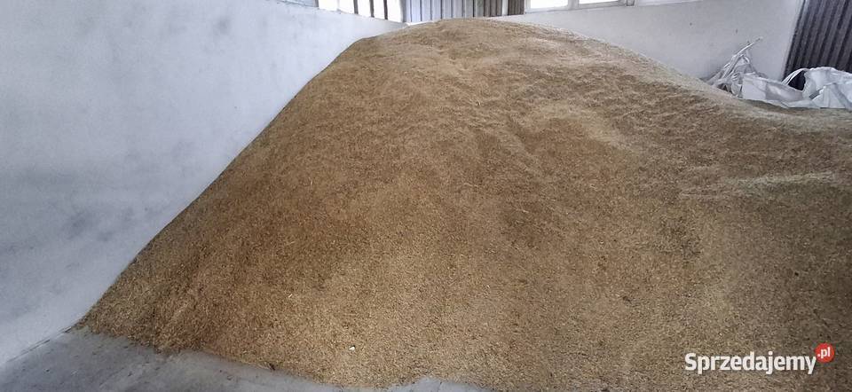 Owies lubelskie Zamość sprzedam