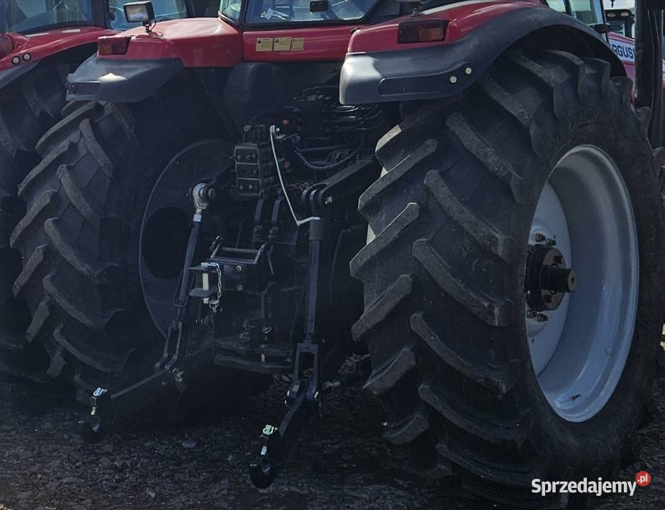 Massey Ferguson 8240 Dyna4 Gruntowice