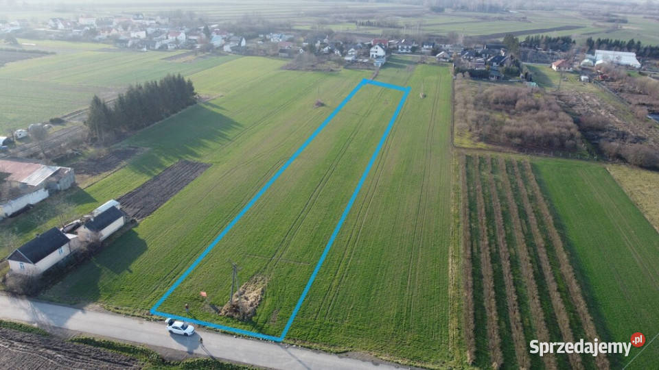 Działka rolnobudowlana 062 ha w Gołębiu kPuław