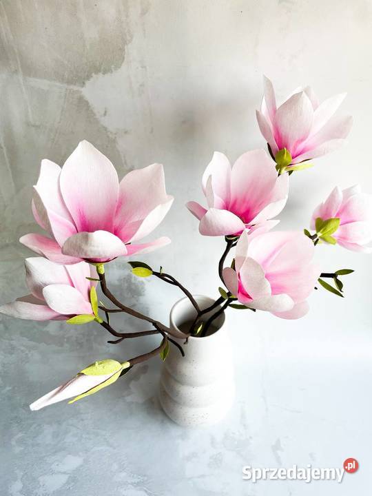 Magnolia gałązka z krepiny niemieckiej Zielona Góra