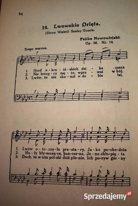 Zjednoczona Polska Feliksa Nowowiejskiego 1924