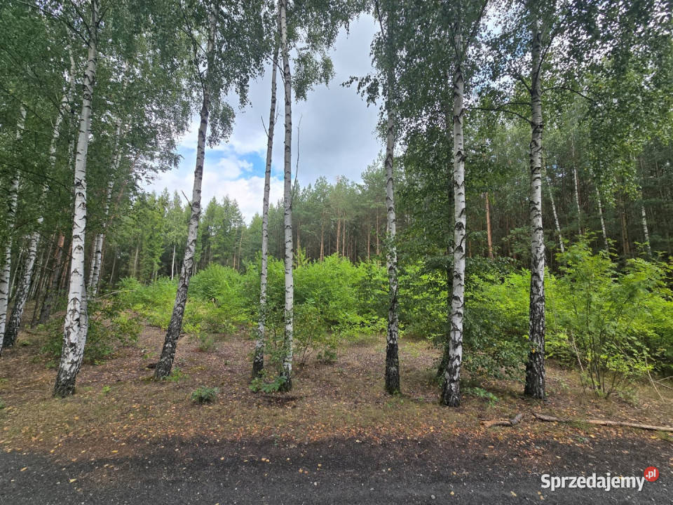 Do sprzedaży grunt 5100m2 Przymiłów