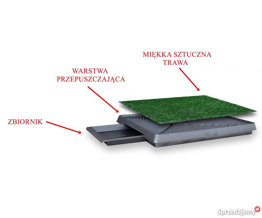 Kuweta Toaleta z trawą psaszczeniaka 63x50 dolnośląskie