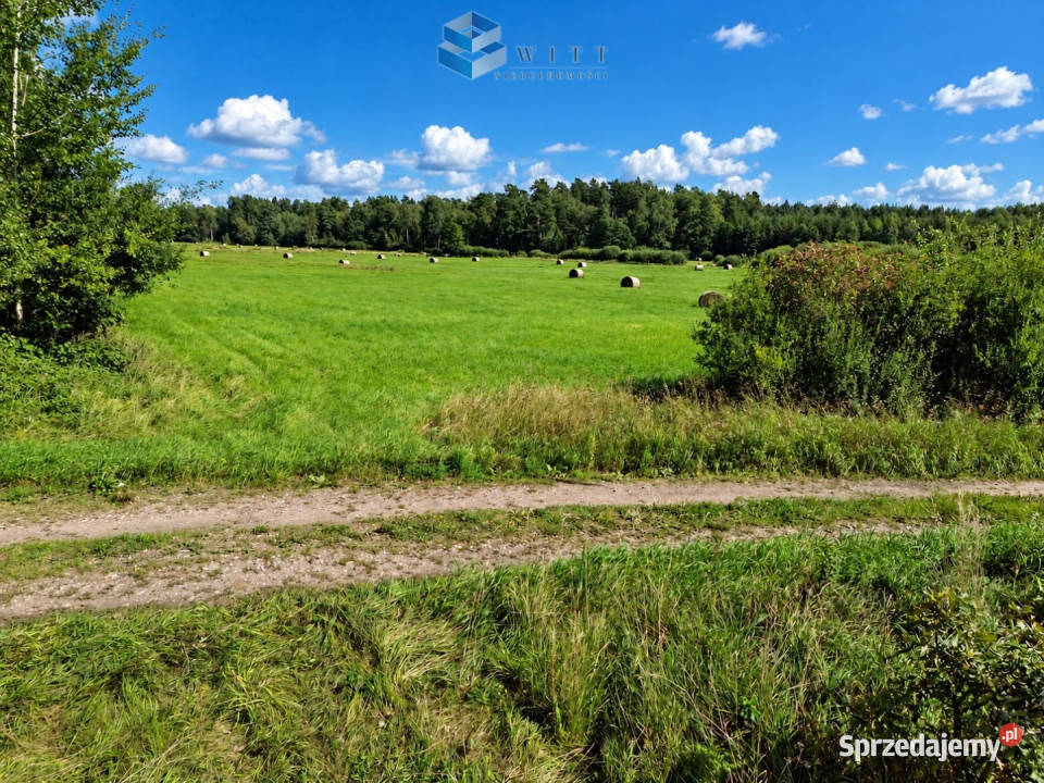 Działka Liwa 31400m2 rolna