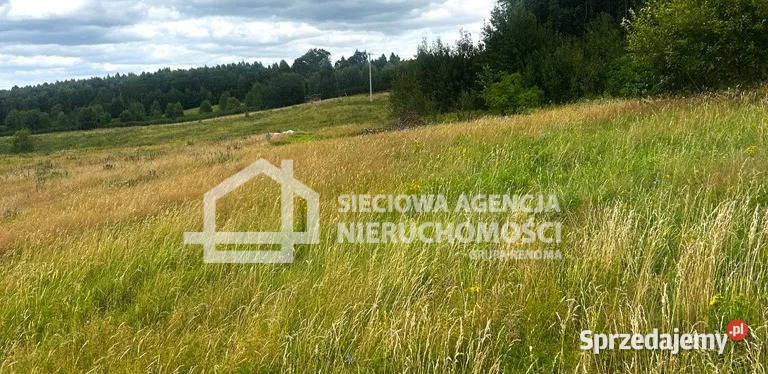 Działka 2899 metrów Trzepowo 2899m2 sprzedam
