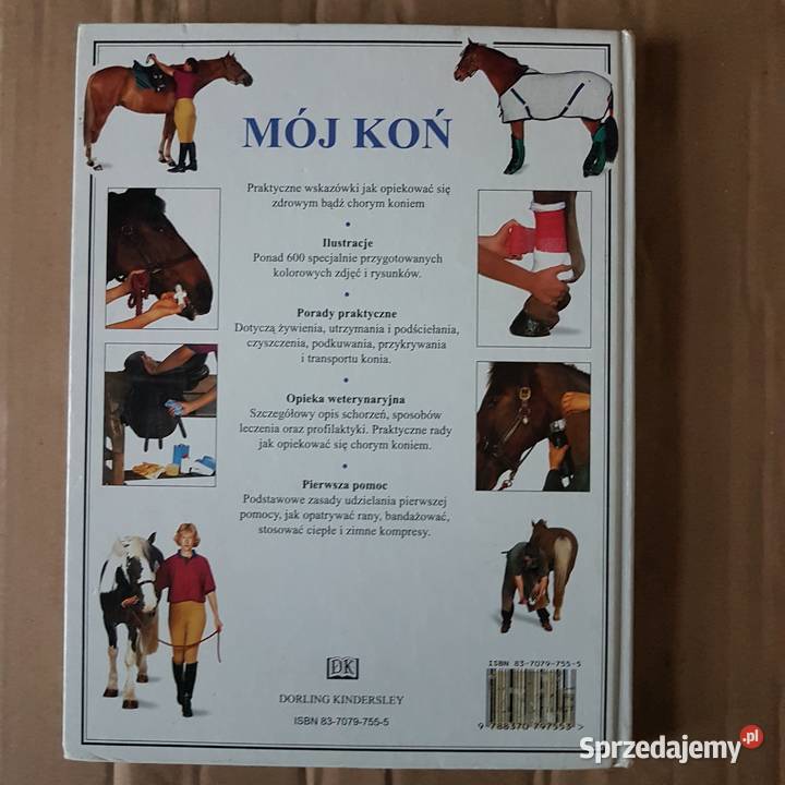 szczotki konia albumMój końapaszka jeździecka sprzedam