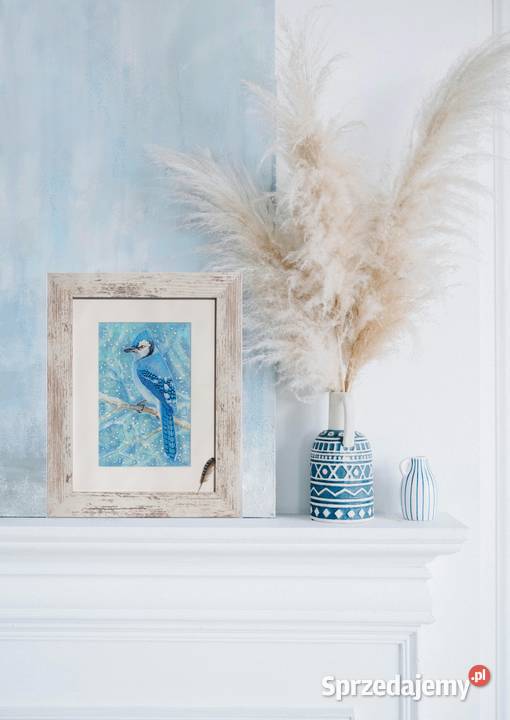 Blue Jay modrosójka błękitna ptak zima akwarela Lublin sprzedam