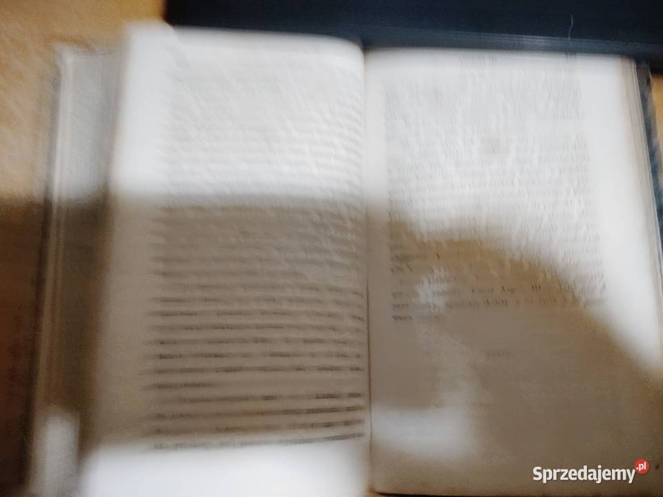 Historya Książąt i Królów PolskichWyciąg z wielkopolskie sprzedam