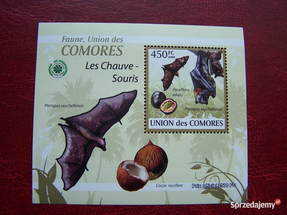 Komory 2009 MNH Fauna Nietoperze Nakład 2500 Tychy