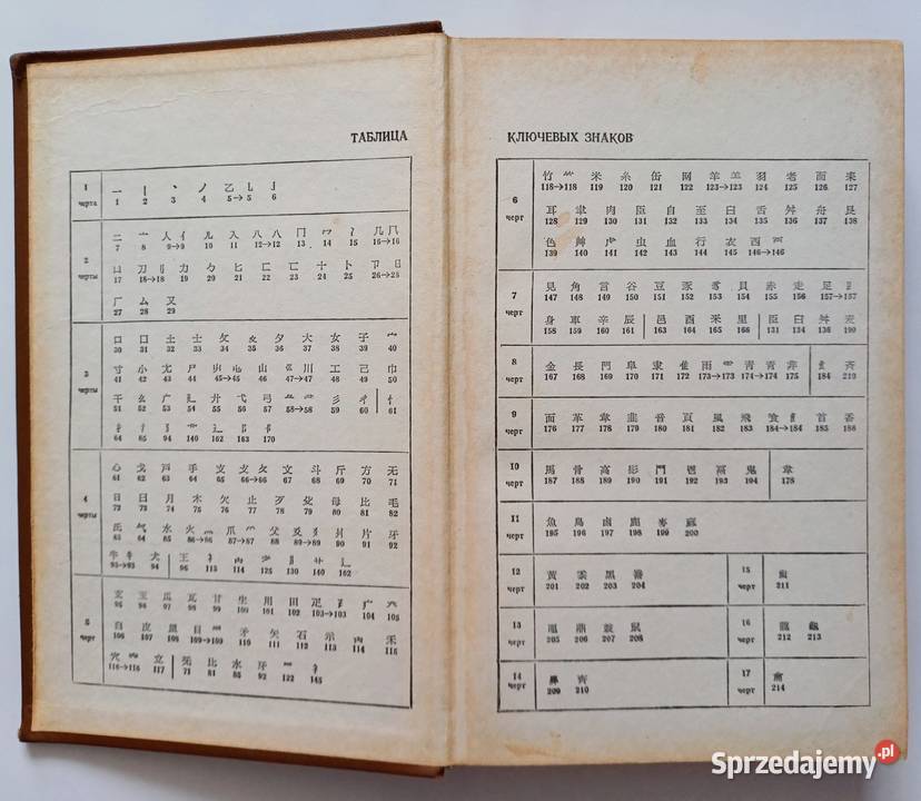 JAPOŃSKOROSYJSKI SŁOWNIK ZNAKÓW KANJI encyklopedie, słowniki, leksykony Warszawa