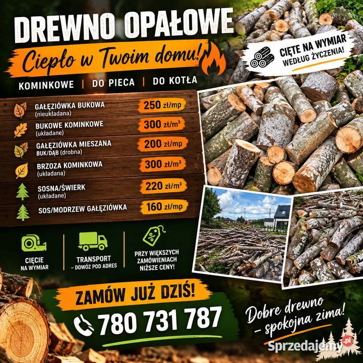 Drewno Władysławowo