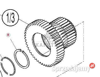 Massey Ferguson 7718S 7718 S 1804A DYNA 6 Koło Zębate Skrzyni Biegów CZĘŚC… Jastrzębniki