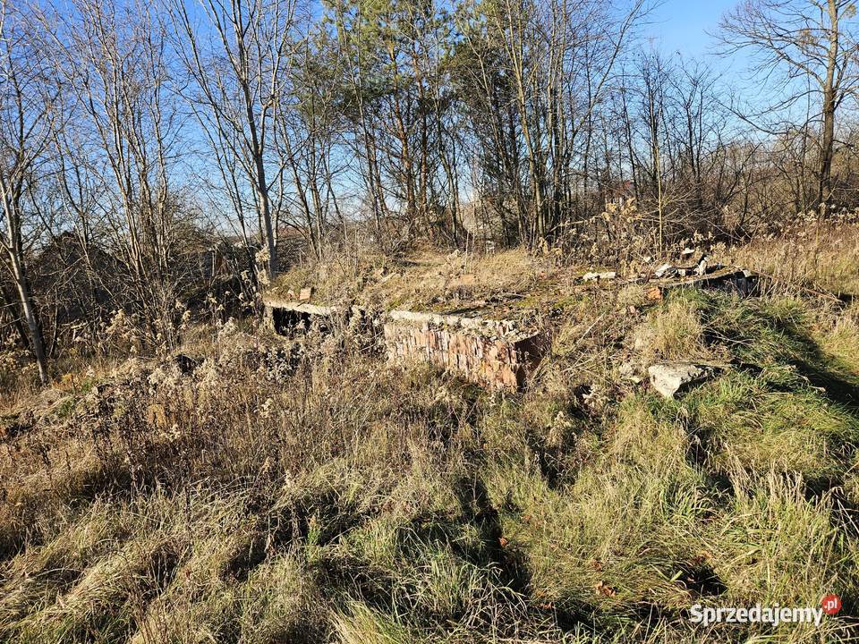 działka w otoczeniu zabudowy jednorodzinnej i Ostrowy Baranowskie