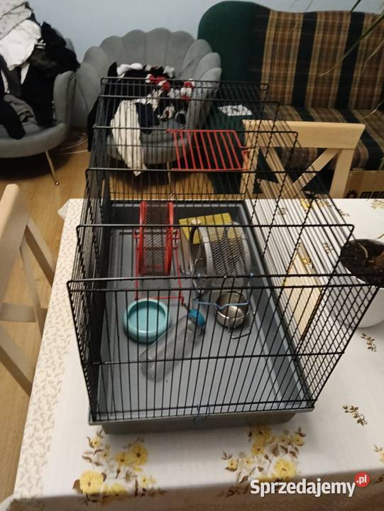 Klatka gryzoni 58x41x35 Koszalin