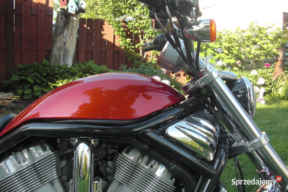 2005 HARLEYDAVIDSON VRSCB VROD 7700km śląskie Tychy sprzedam