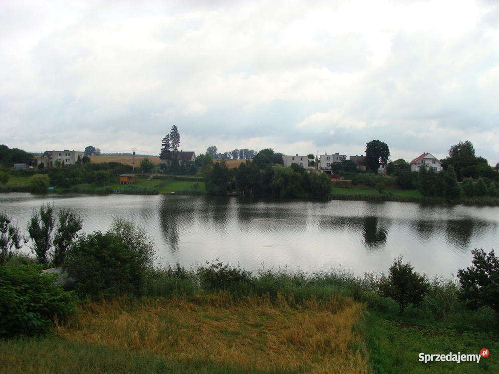 Działka z linią brzegową jeziora 39zł/m2 Grunty i działki Radomno sprzedam