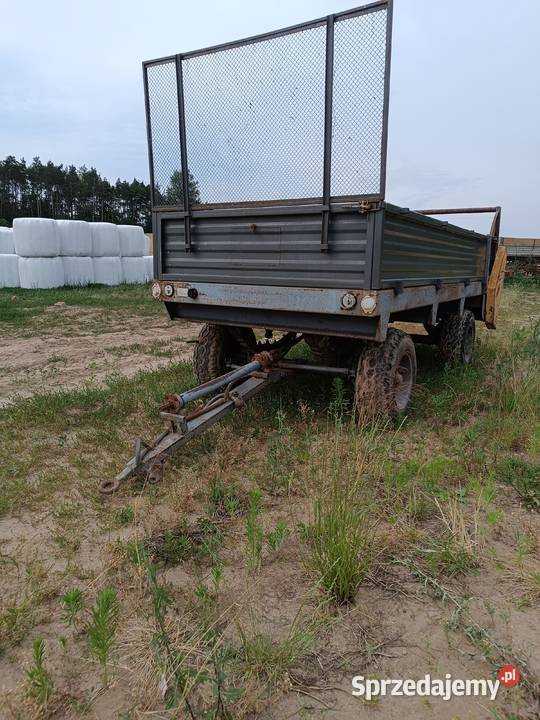 Rozrzutnik obornika czarna białostocka Łapy