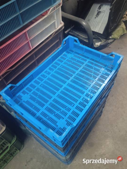 Skrzynka plastikowa Czeszka Modliborzyce