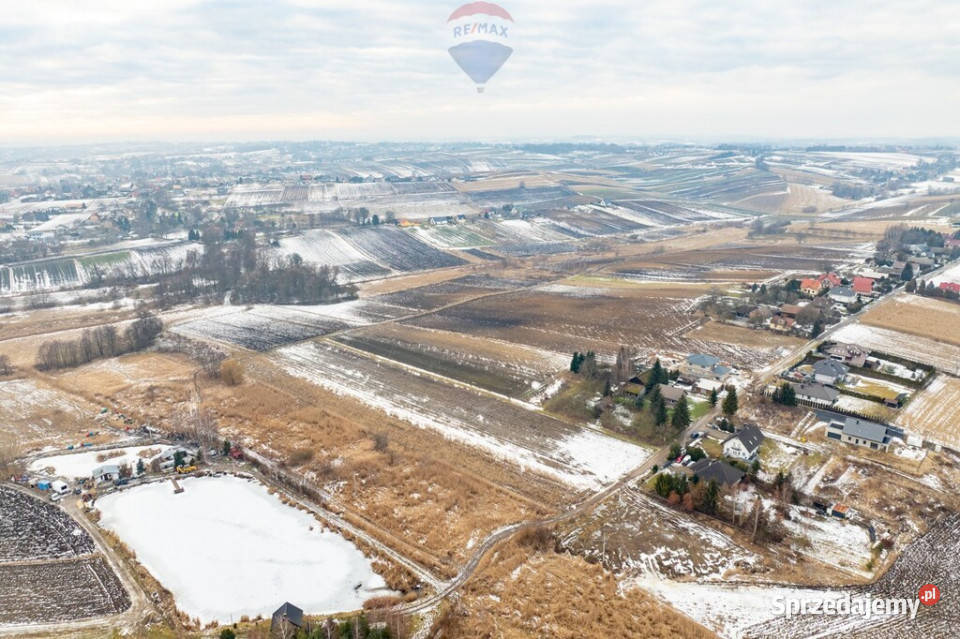 DZIAŁKA ROLNA ZAGRODOWA PIETRZEJOWICE rolna