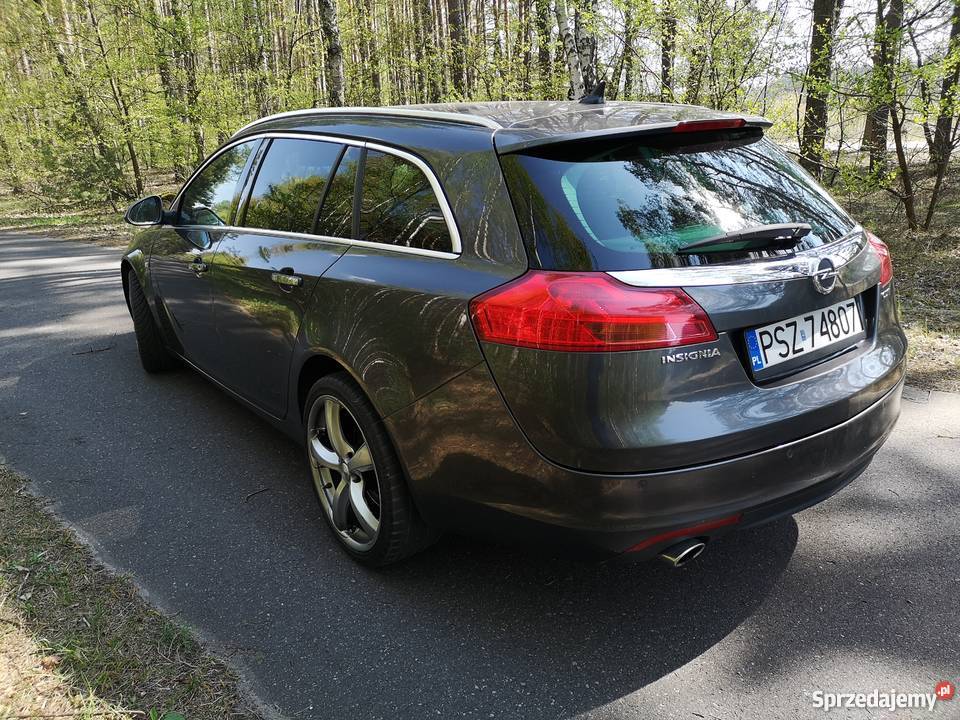 Opel Insignia Cosmo flexridezamiana centralny zamek wielkopolskie