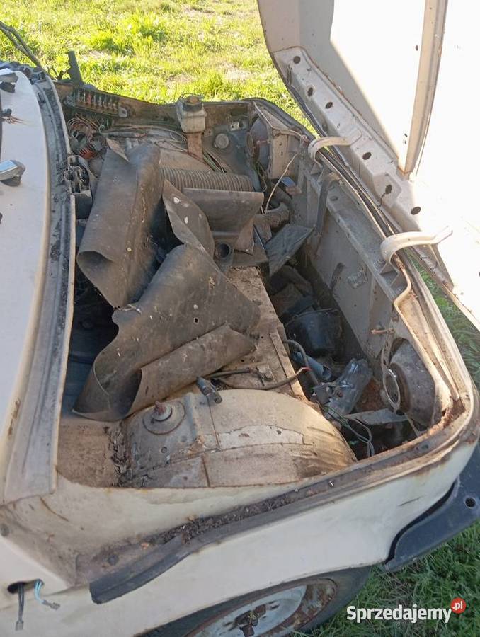 Fiat Piaseczno