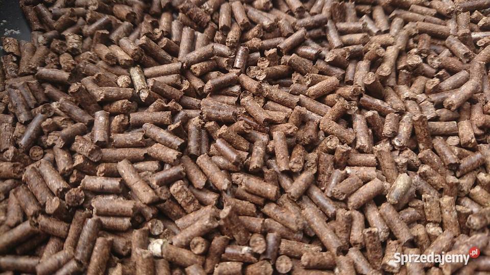 Herbata Soba Cha 1 Kobylanka