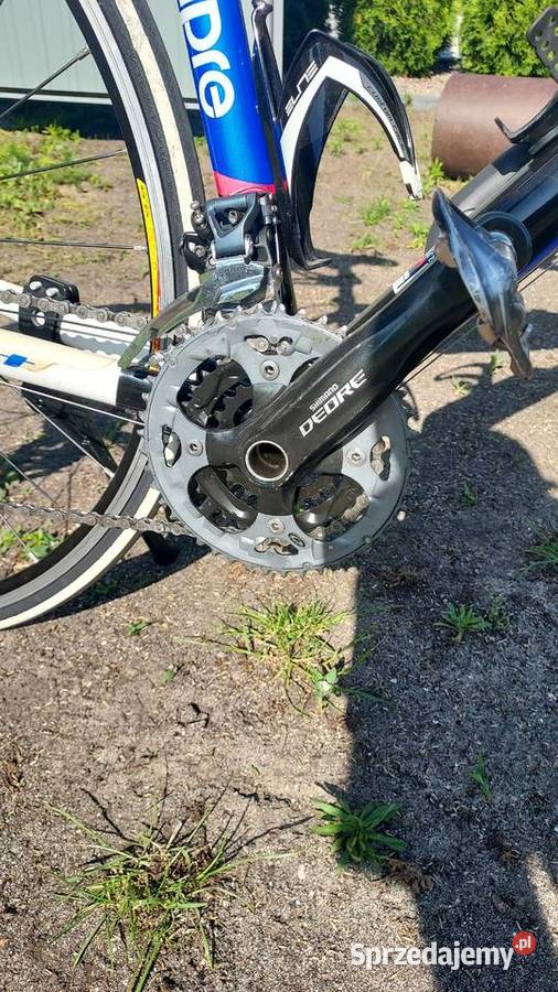 Willier La Triestina OKAZJA Warząchewka Królewska