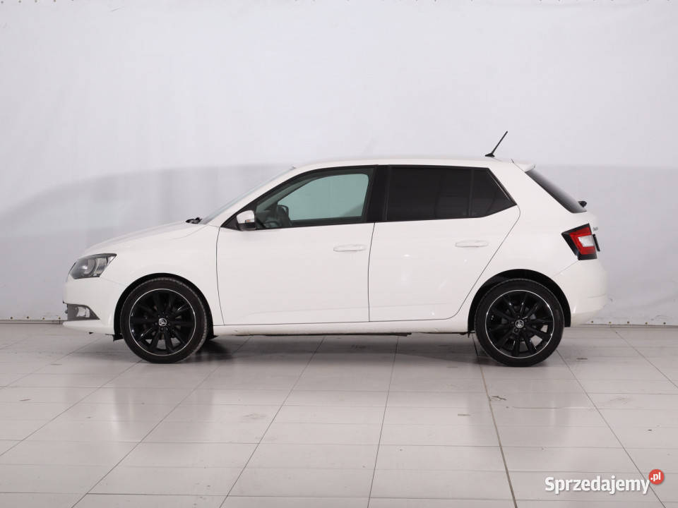 Skoda Fabia 10