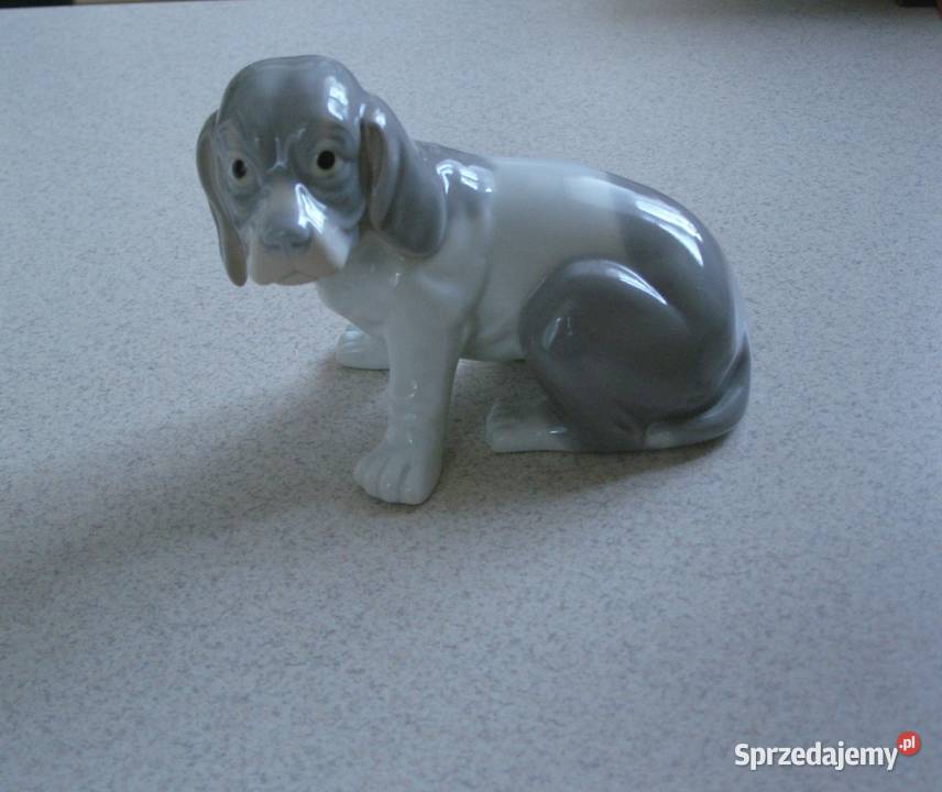 pies piesek porcelana Rzeszów