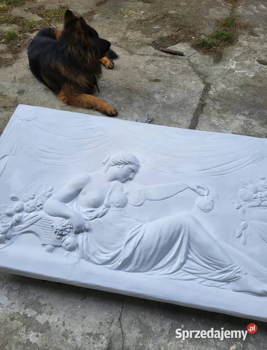 RELIEF 160 X 80 SZTUKATERIA GIPSOWA PŁASKORZEŹBA inny kolor Zielona Góra
