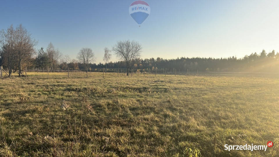Działka budowlana Sprzedaż Józefów gm Pniewy