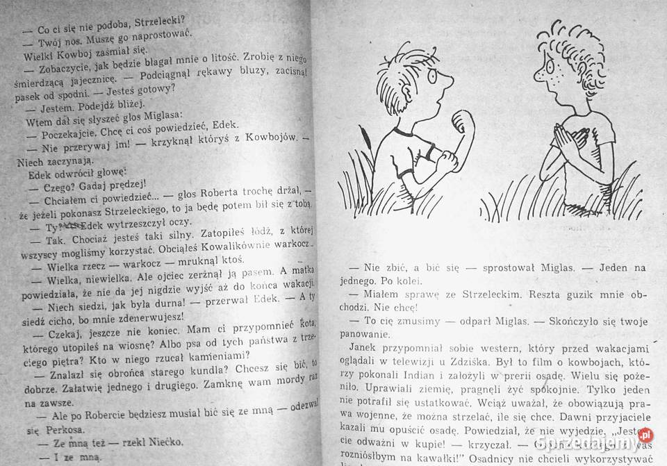 Przerwany rejs Czarnych Piratów Stanisław Rok wydania 1990 Chełm