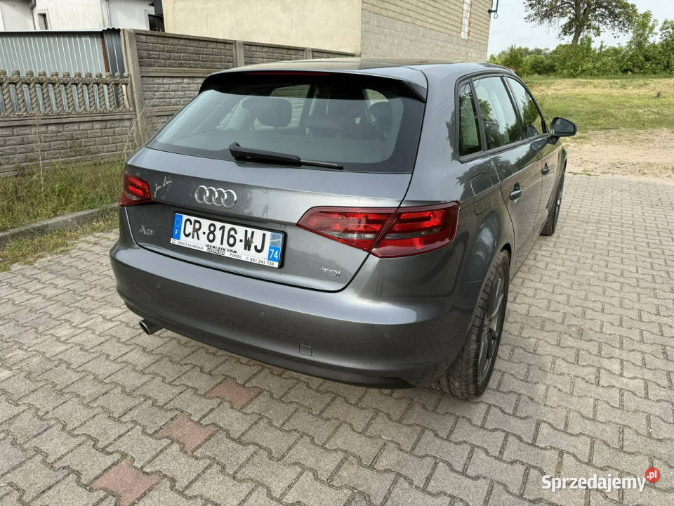 Audi A3 Sportback Audi A3 16TDI 8V 2012 Poniec