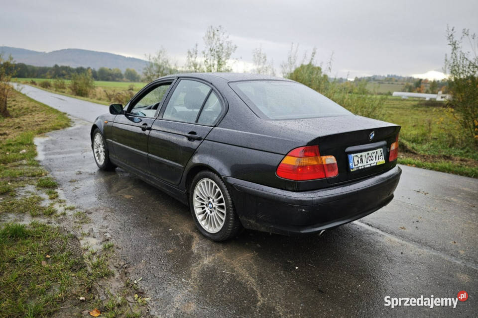 BMW 318 Bmw 318 20 n46b20 105 kW E46 19982007 nieuszkodzony dolnośląskie Rząśnik