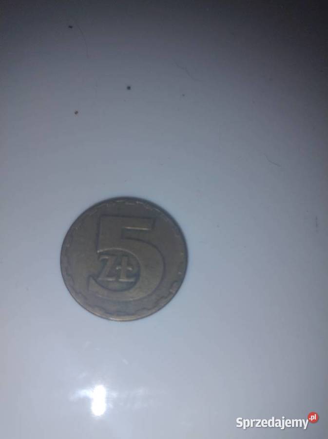 5 z 1977 bez znaku mennicy Numizmatyka Oleśno
