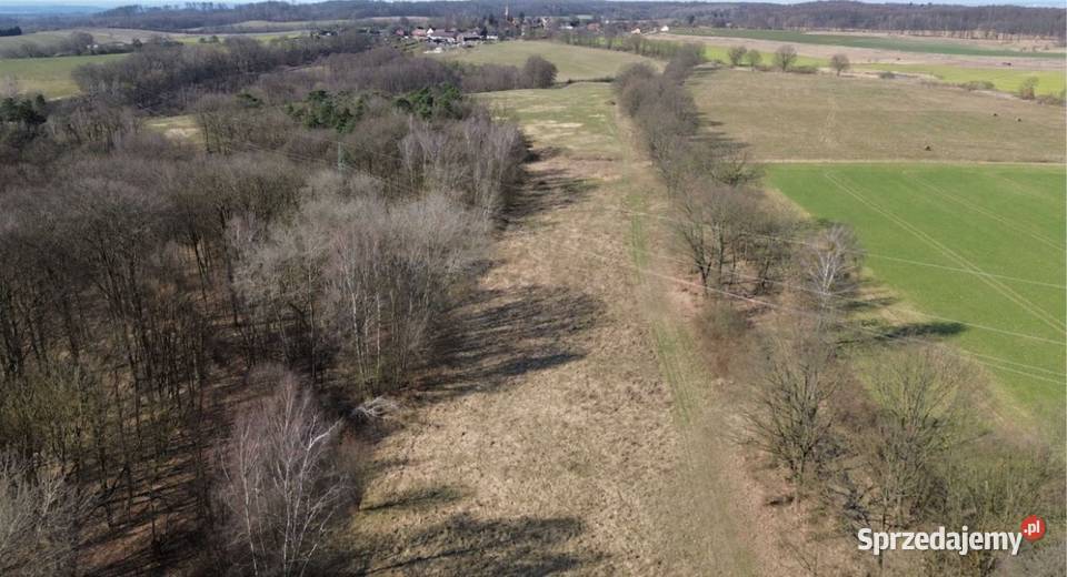 Działki we wsi Kołowo 3000m2