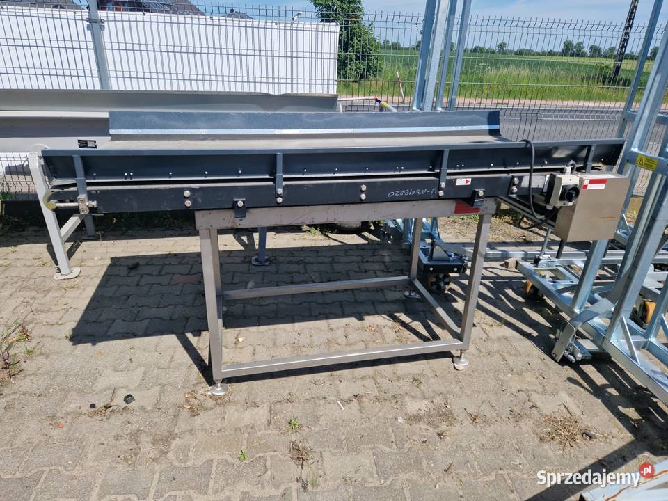 Przenośnik taśmowy Taśmociąg Warzywa ziemniak nieuszkodzony Środa Wielkopolska