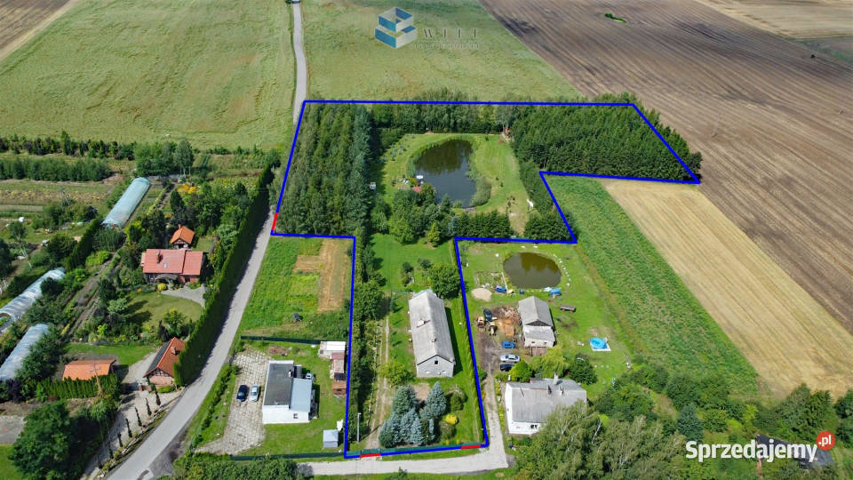 Działka Reszki 15116m2